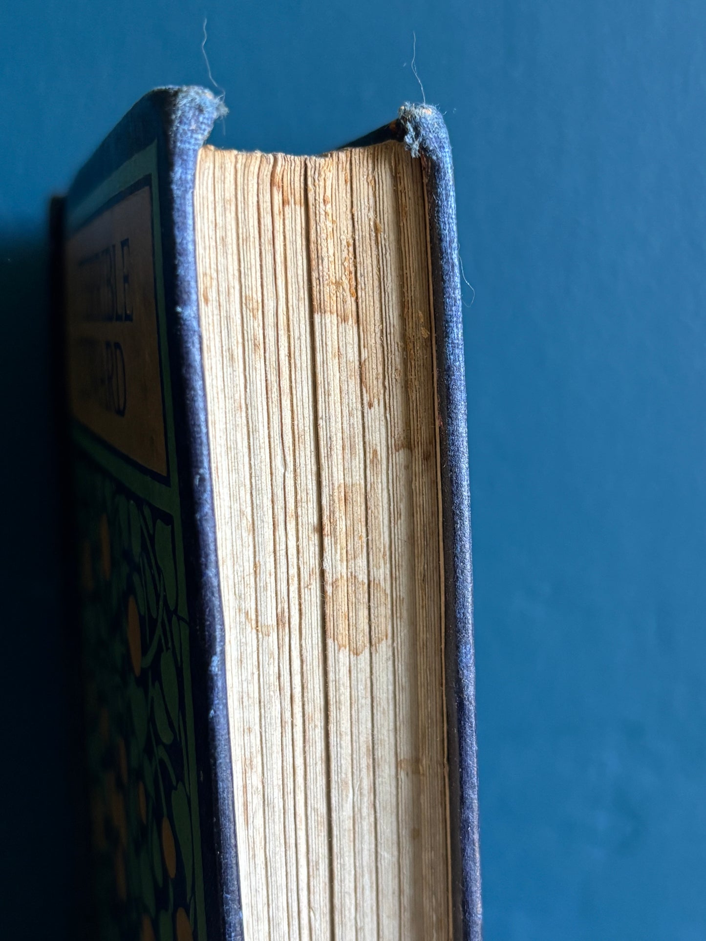 Antique Arts & Crafts Book Cover Design A Terrible Coward 19th Century Book