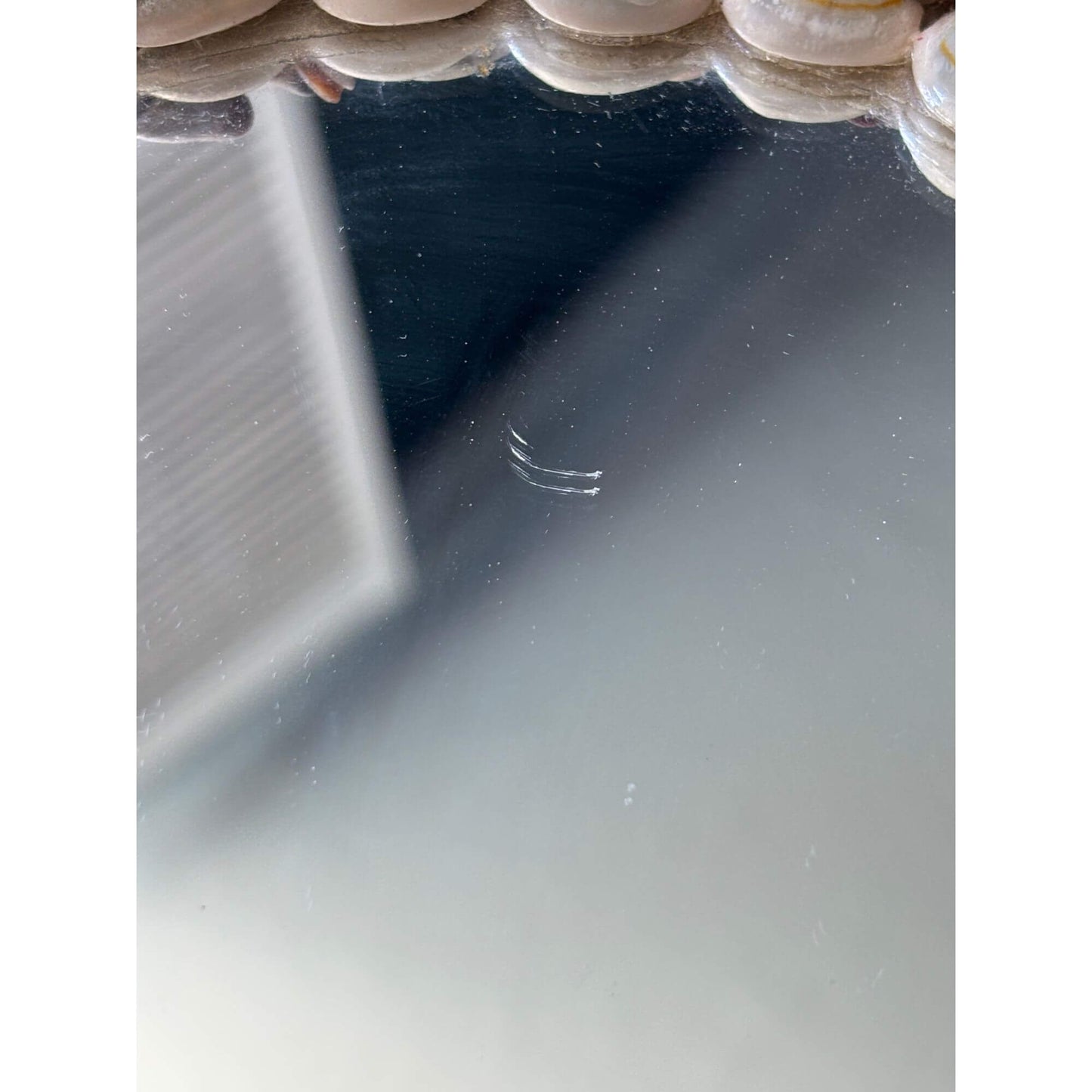 Vintage Natural Seashell Circle Mirror Coastal image 4