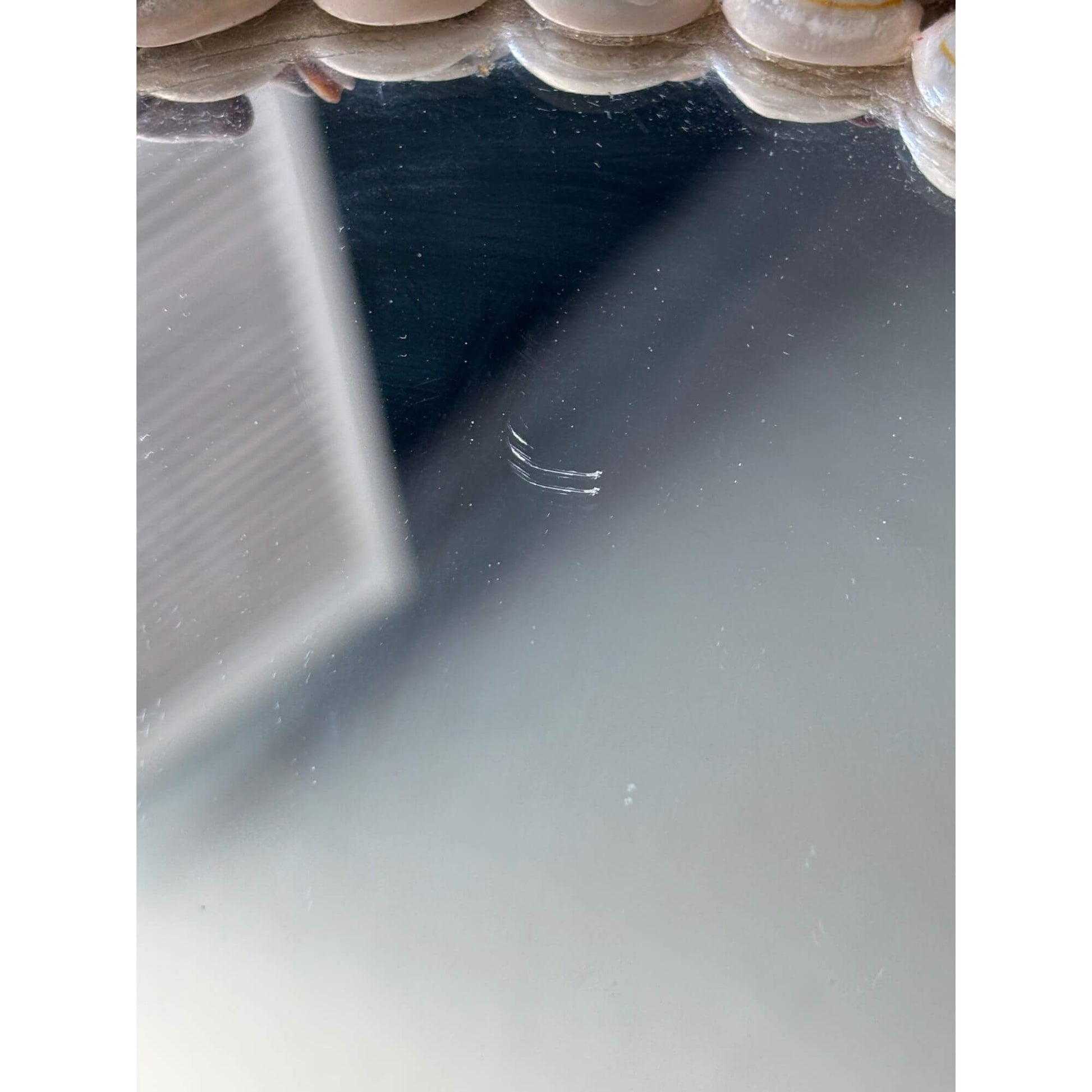 Vintage Natural Seashell Circle Mirror Coastal image 4