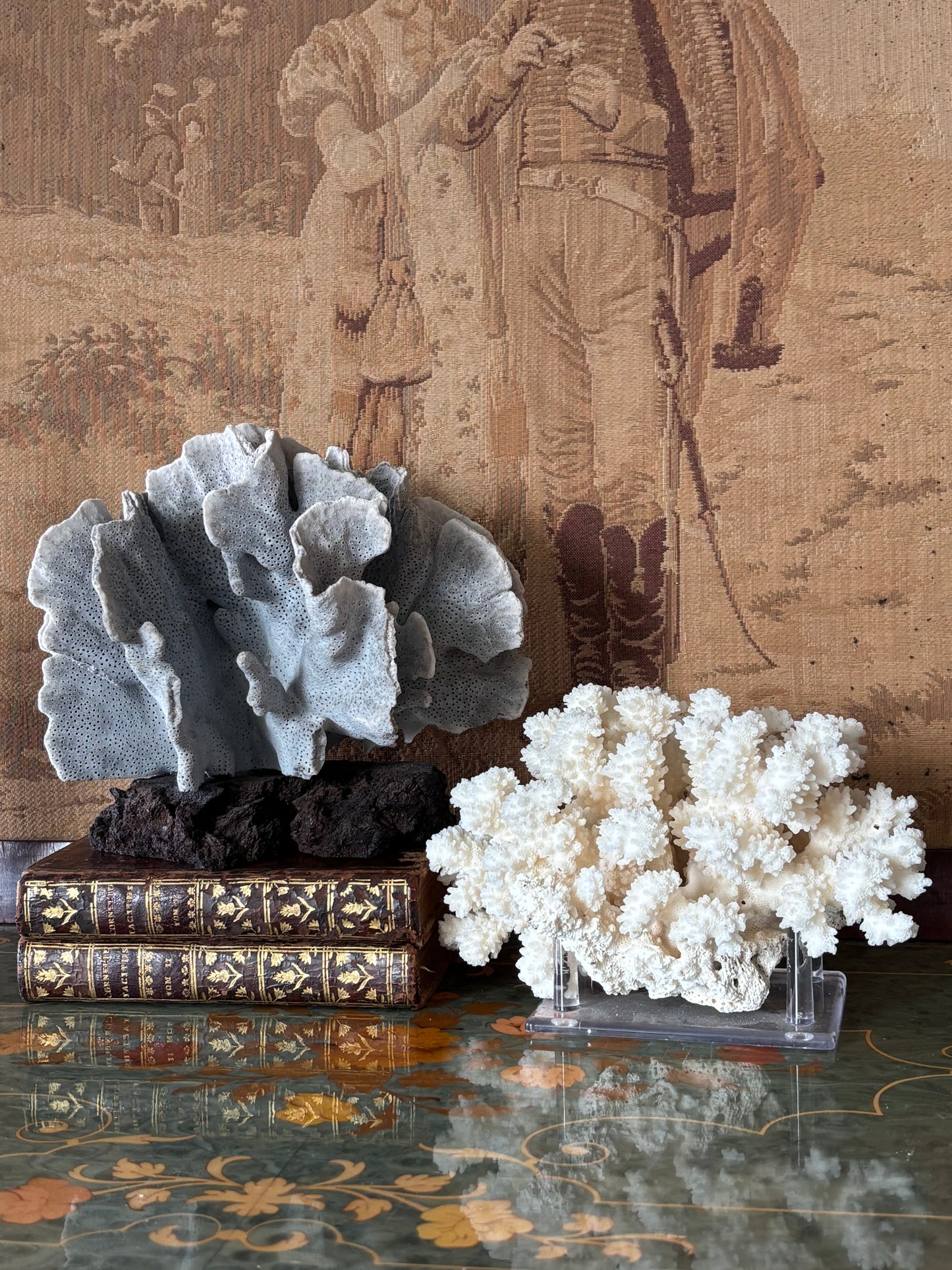 Natural White Coral on Acrylic Stand