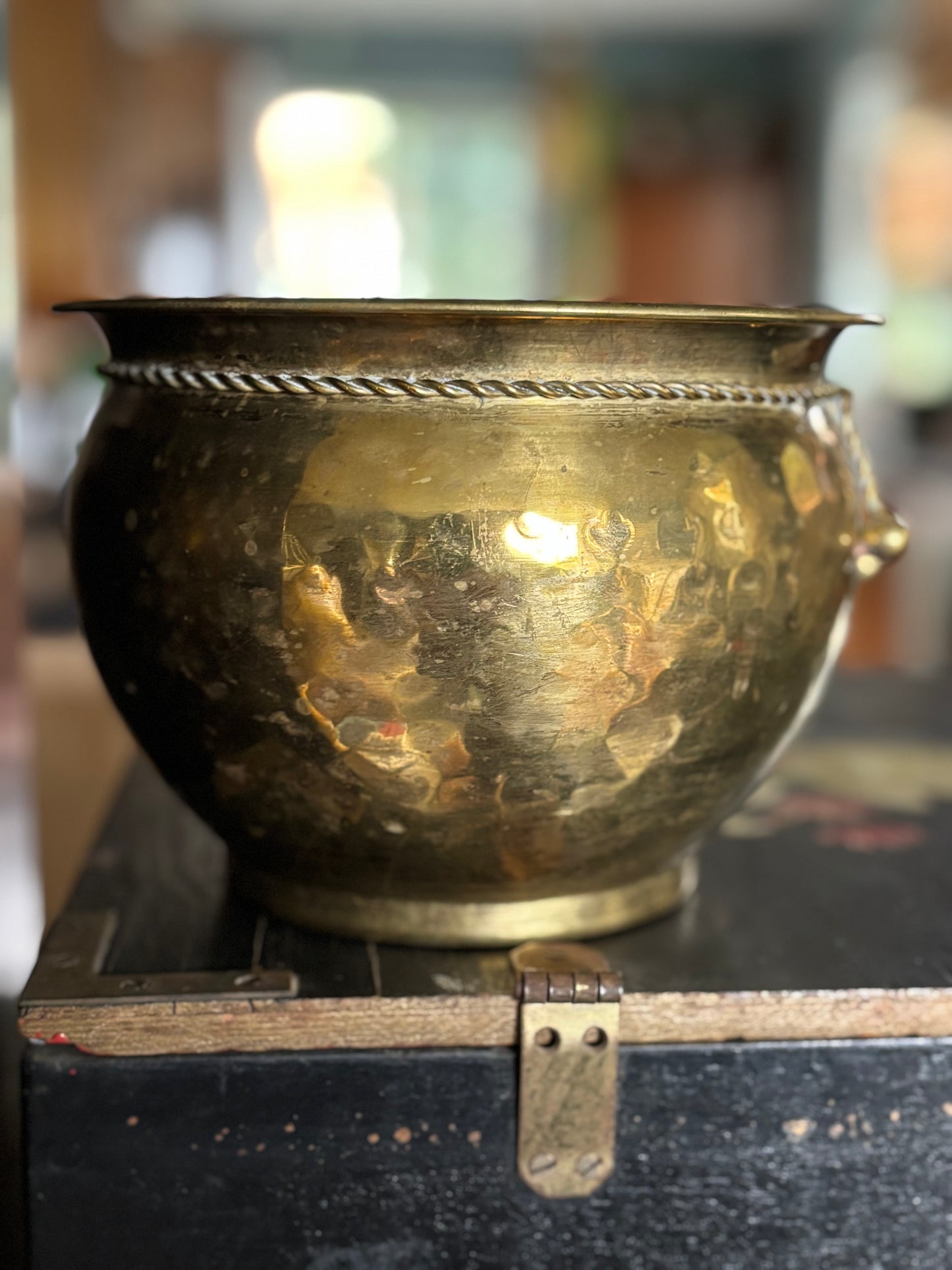 Hammered Brass & Rope Cache Pot Planter