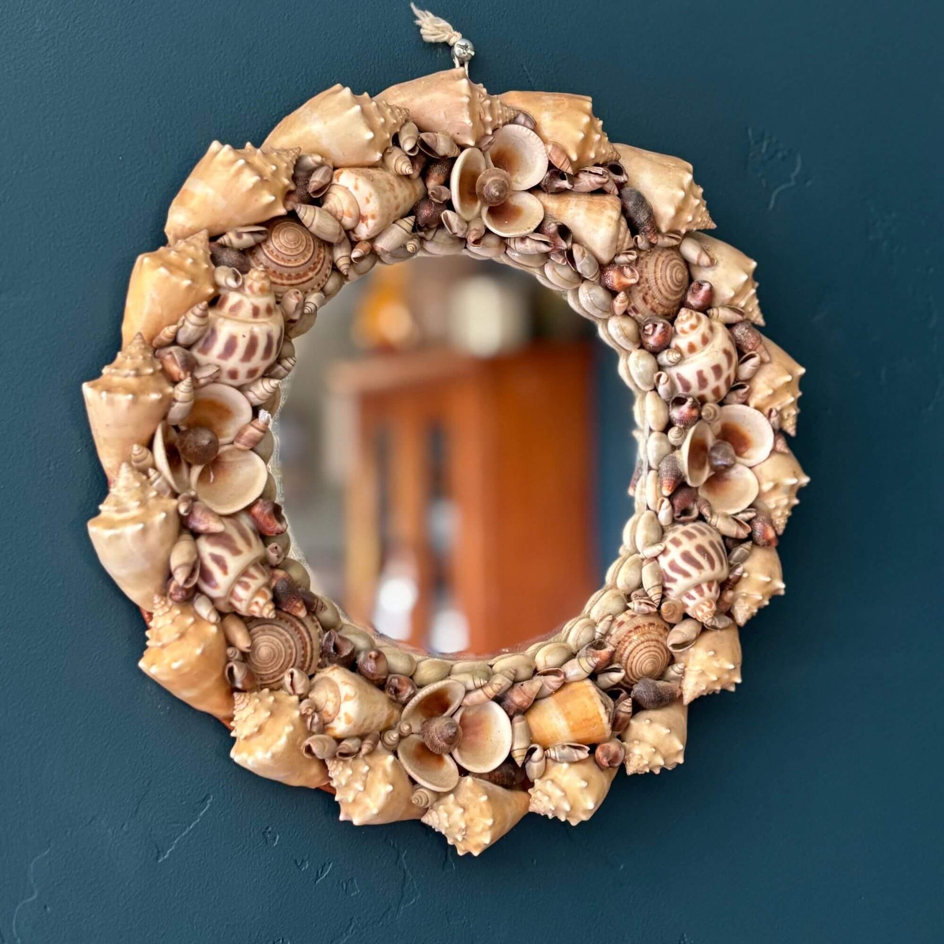 Vintage Natural Seashell Circle Mirror Coastal image 3