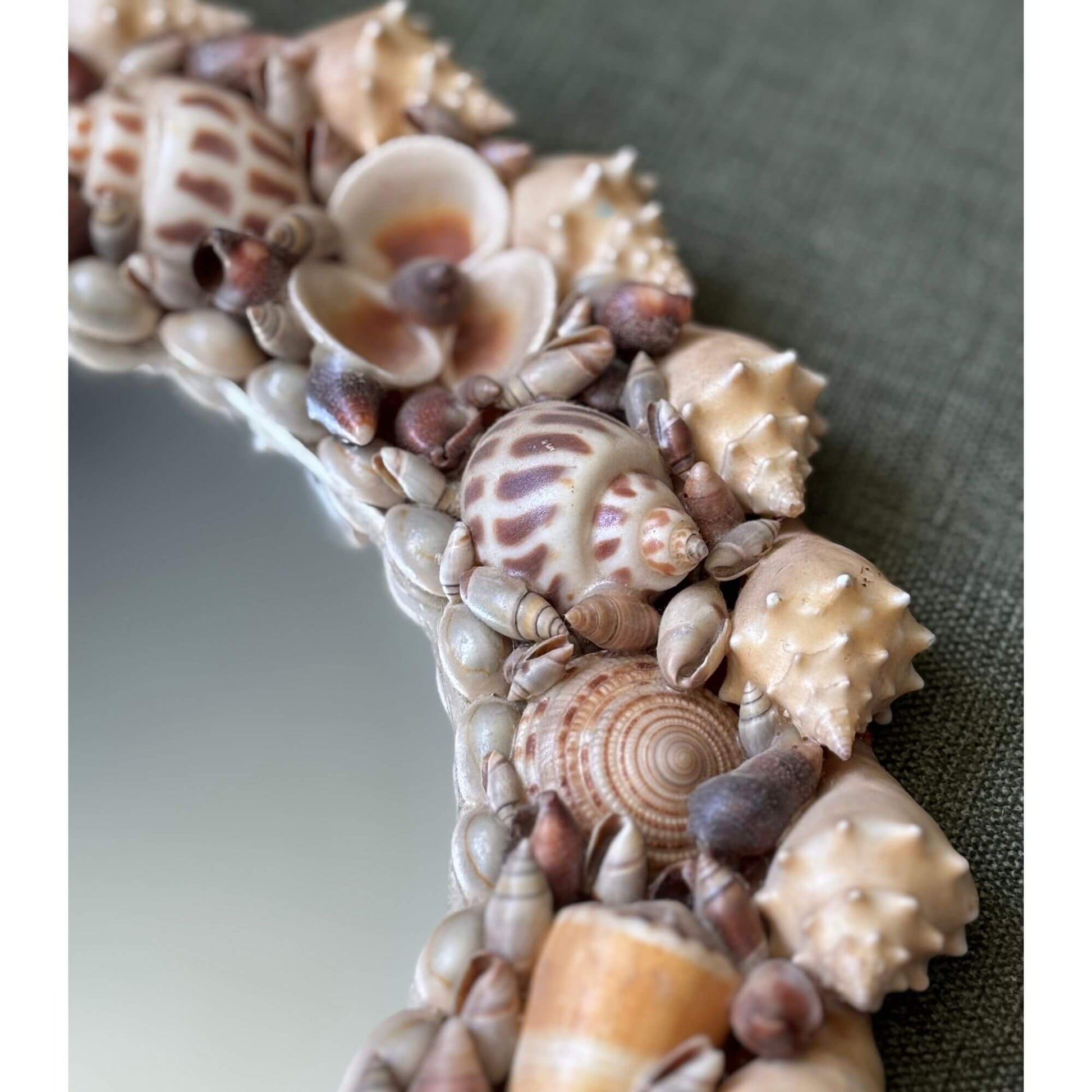 Vintage Natural Seashell Circle Mirror Coastal image 1