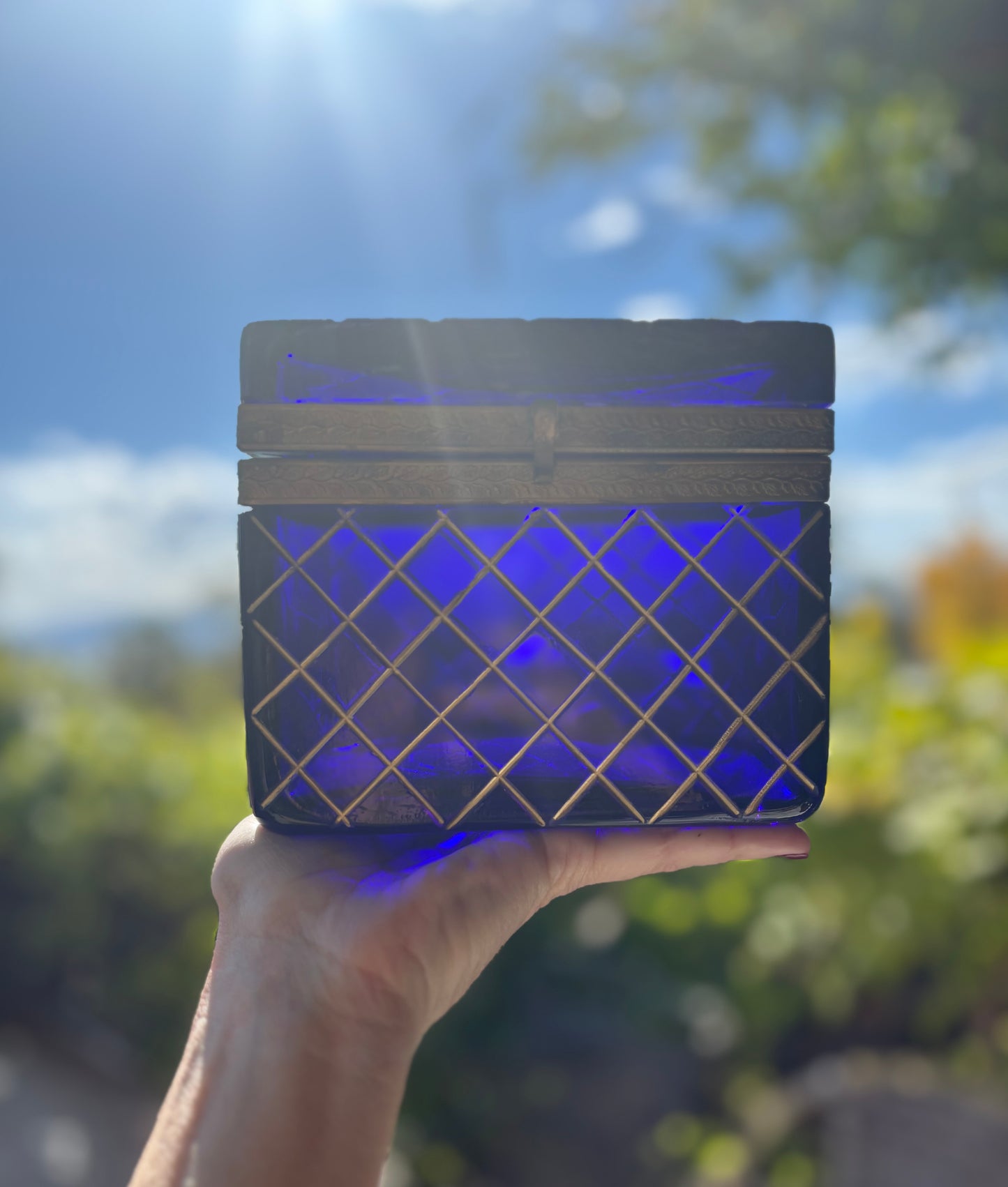 RESERVED 19th Century French Cobalt Blue Casket