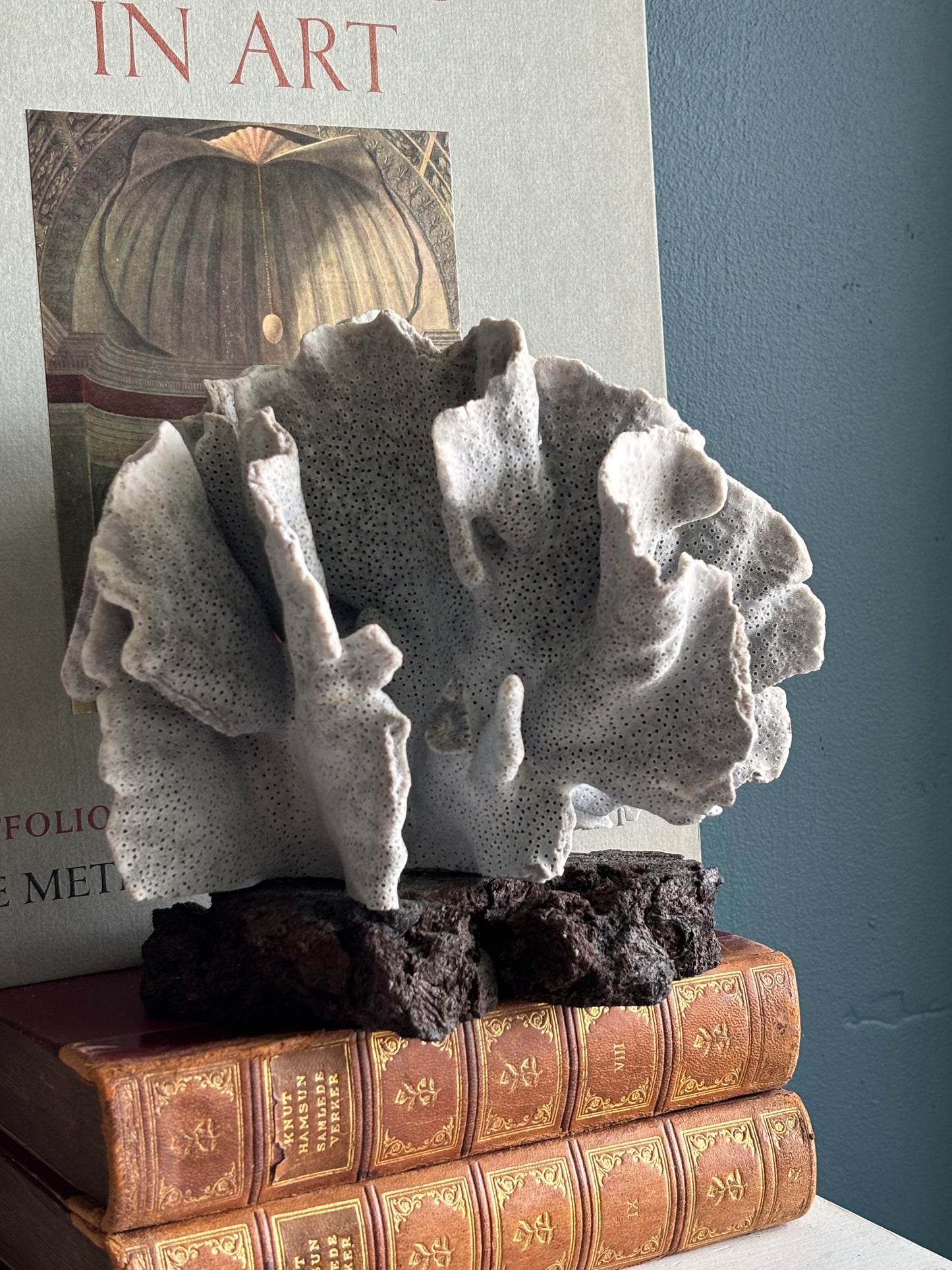 Large Natural Blue Coral on Lava Rock Basalt Base