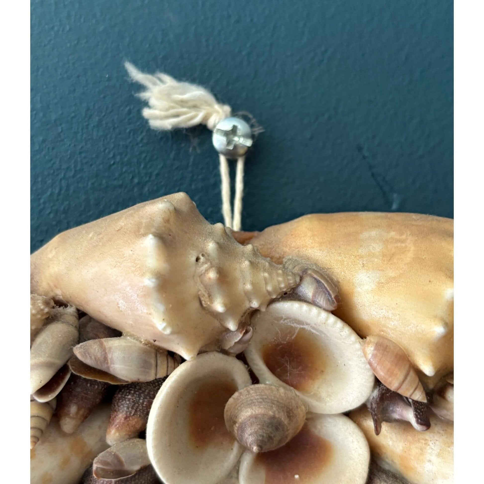 Vintage Natural Seashell Circle Mirror Coastal image 5