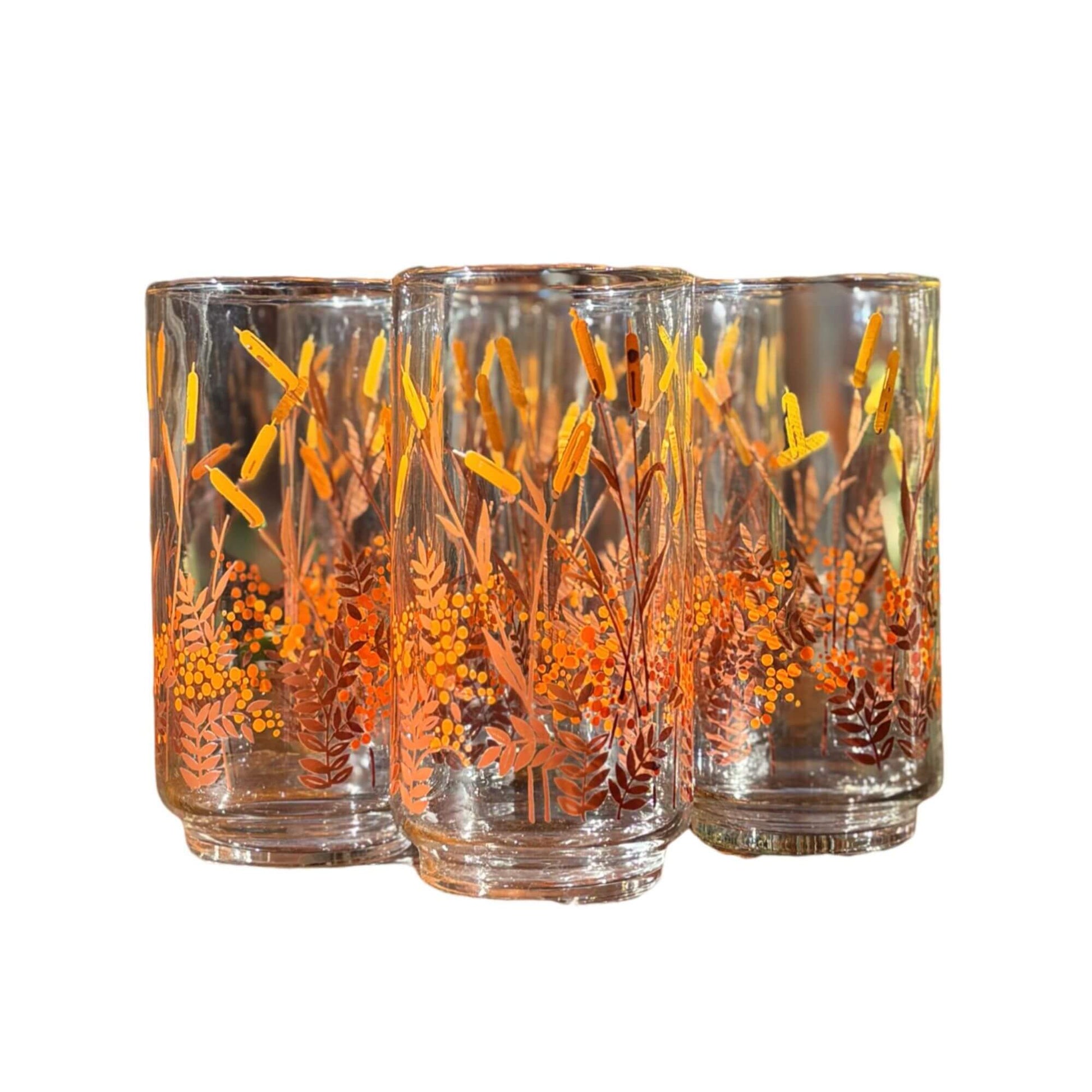 Vintage Libbey Cattail Drinking Glasses Set of 5 image 0