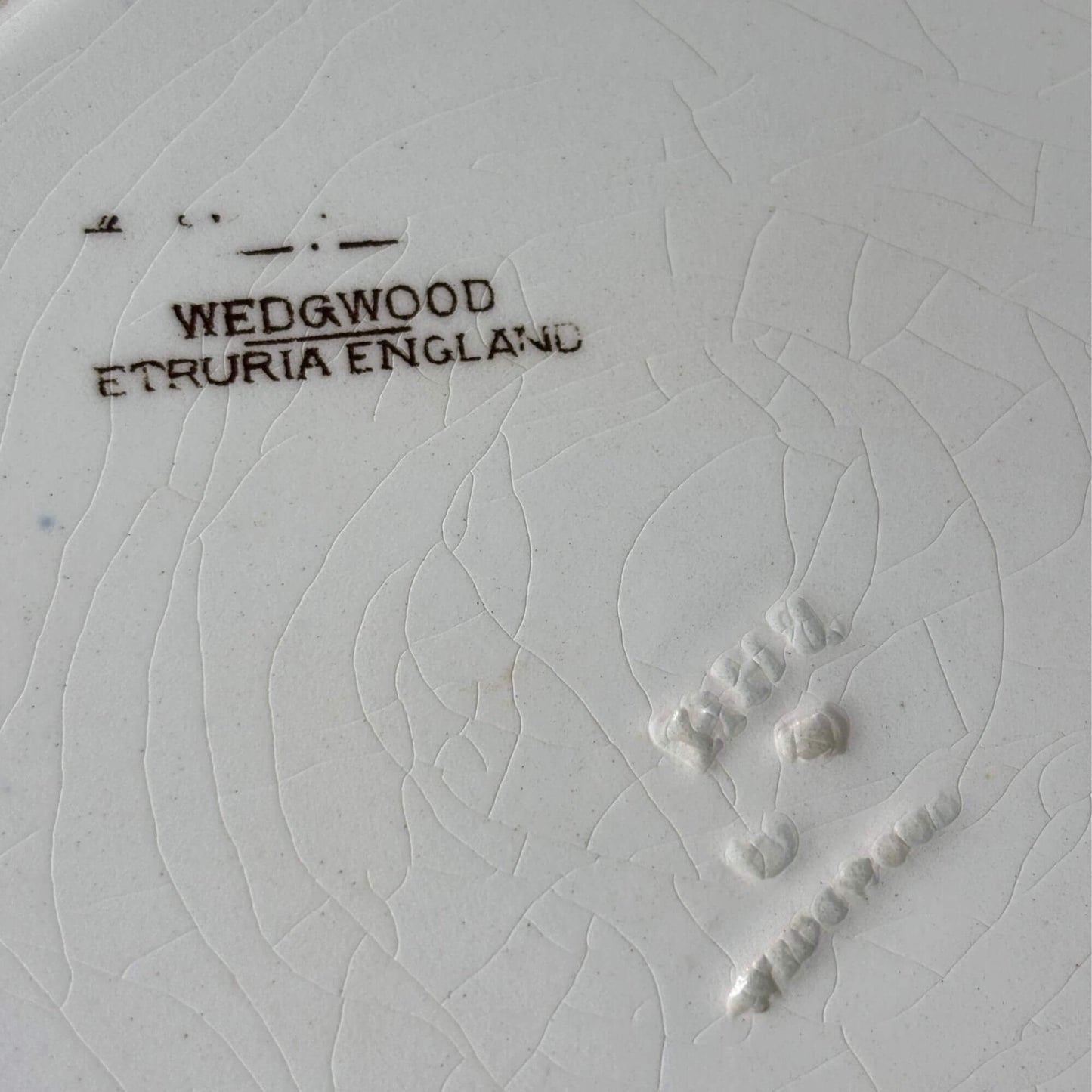 Antique Rare Formosa Etruria Wedgwood Grouse Bird Plate image 6