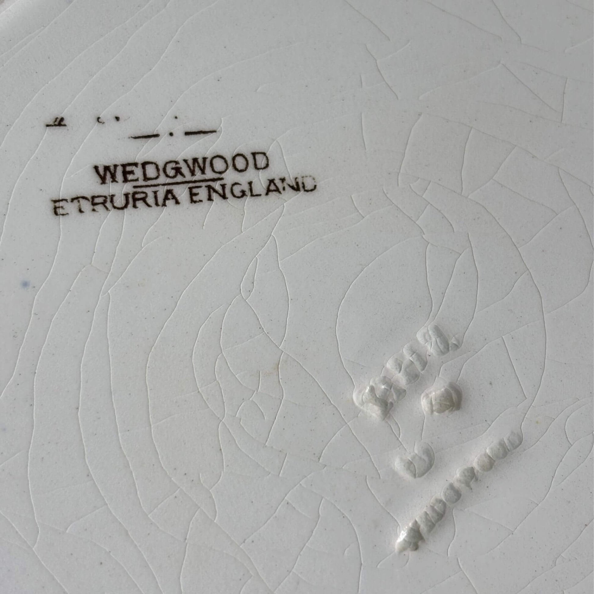 Antique Rare Formosa Etruria Wedgwood Grouse Bird Plate image 6