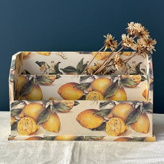Lemon decor Mail Desk Organizer image 0