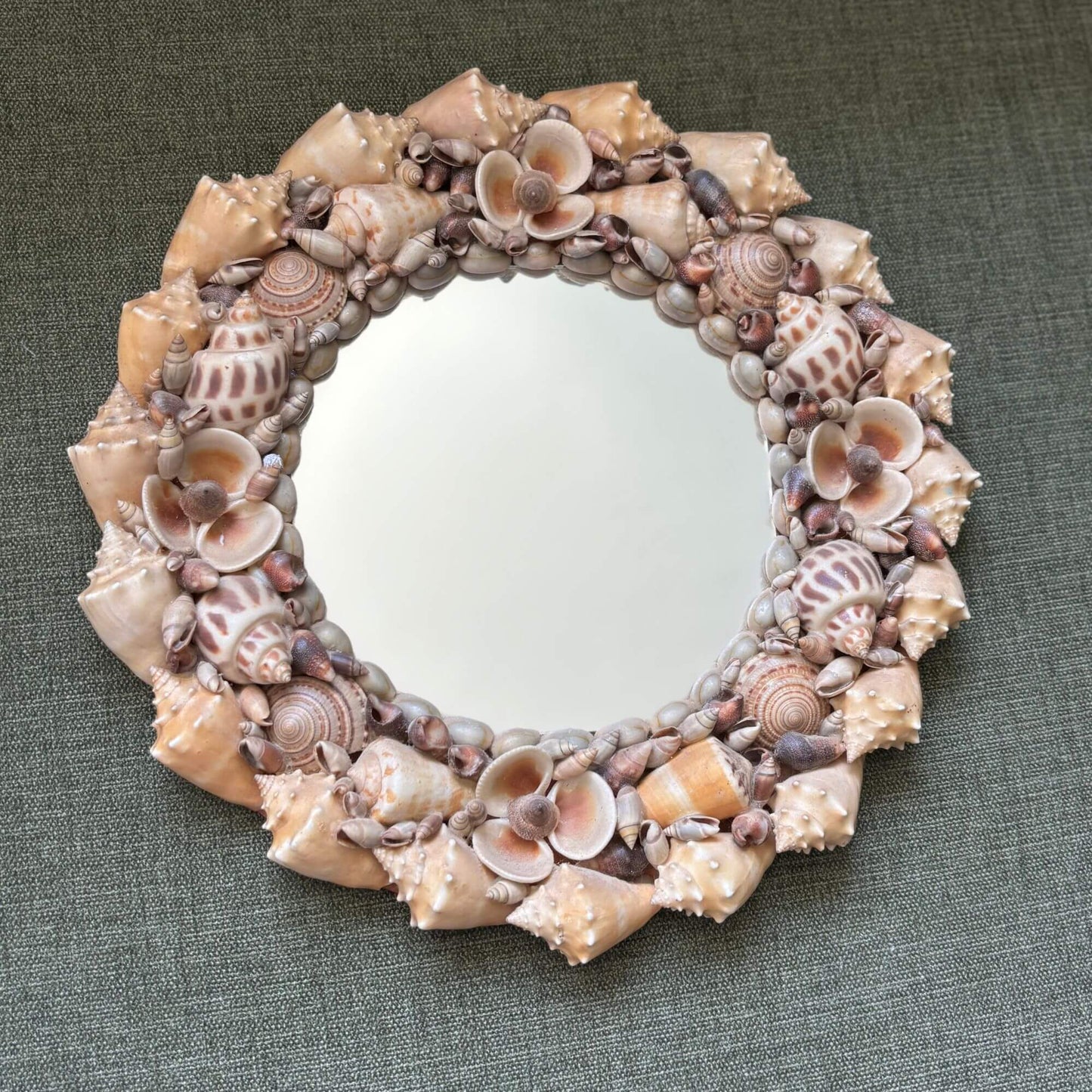 Vintage Natural Seashell Circle Mirror Coastal image 0