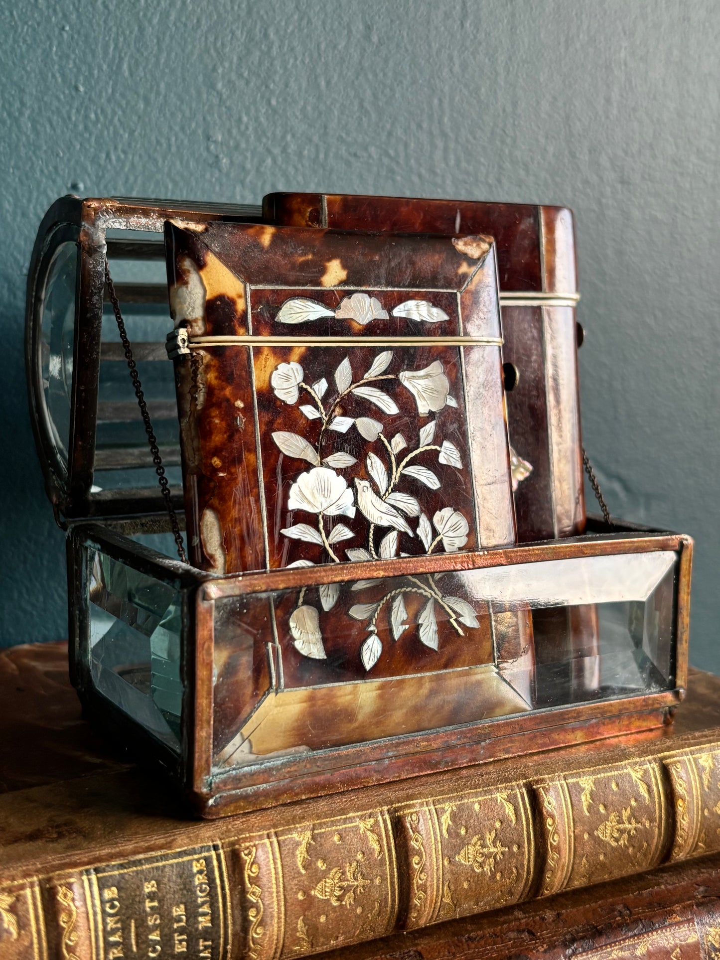 Antique Tortoise Mother of Pearl Card Case