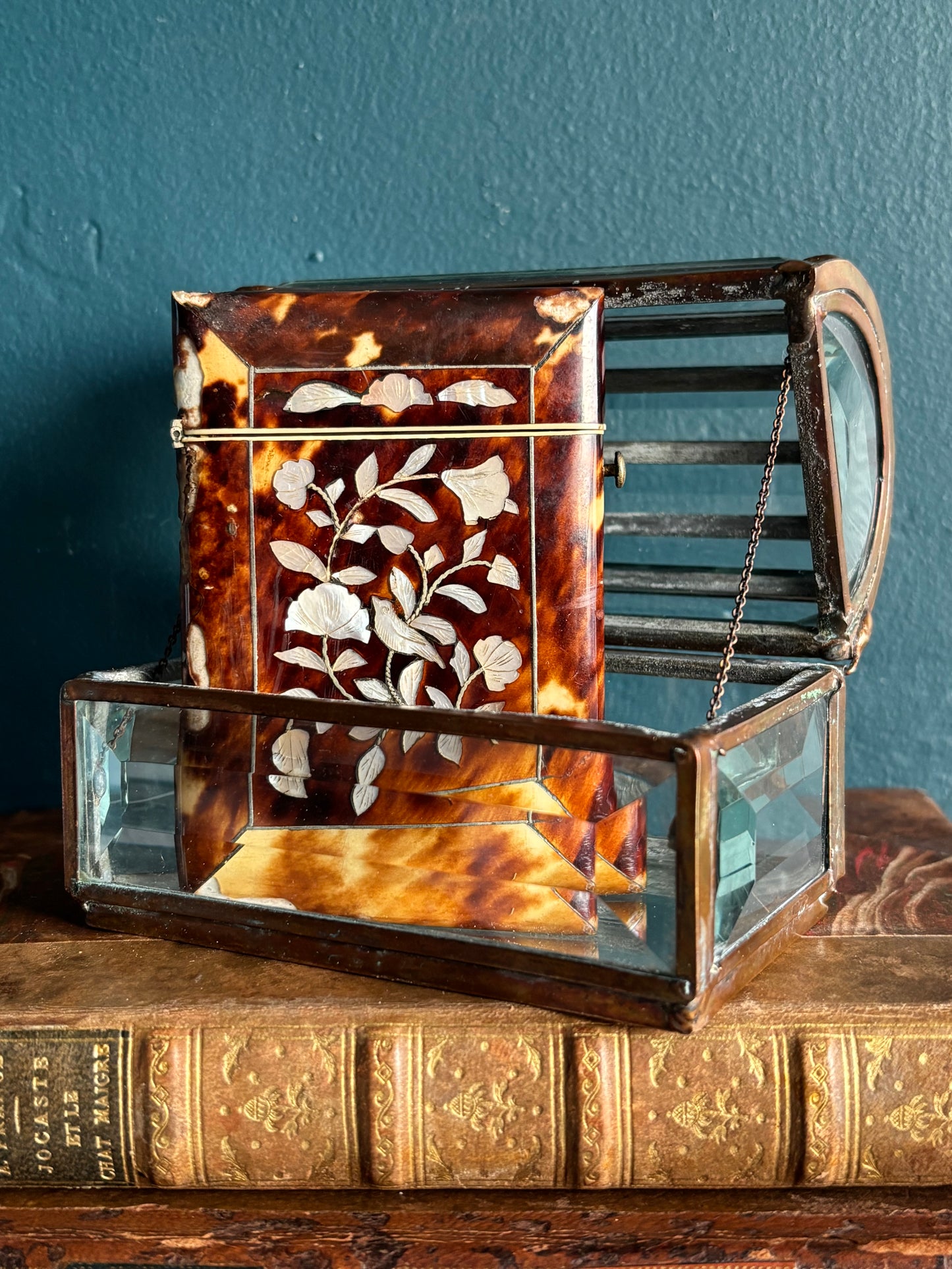 Antique Tortoise Mother of Pearl Card Case