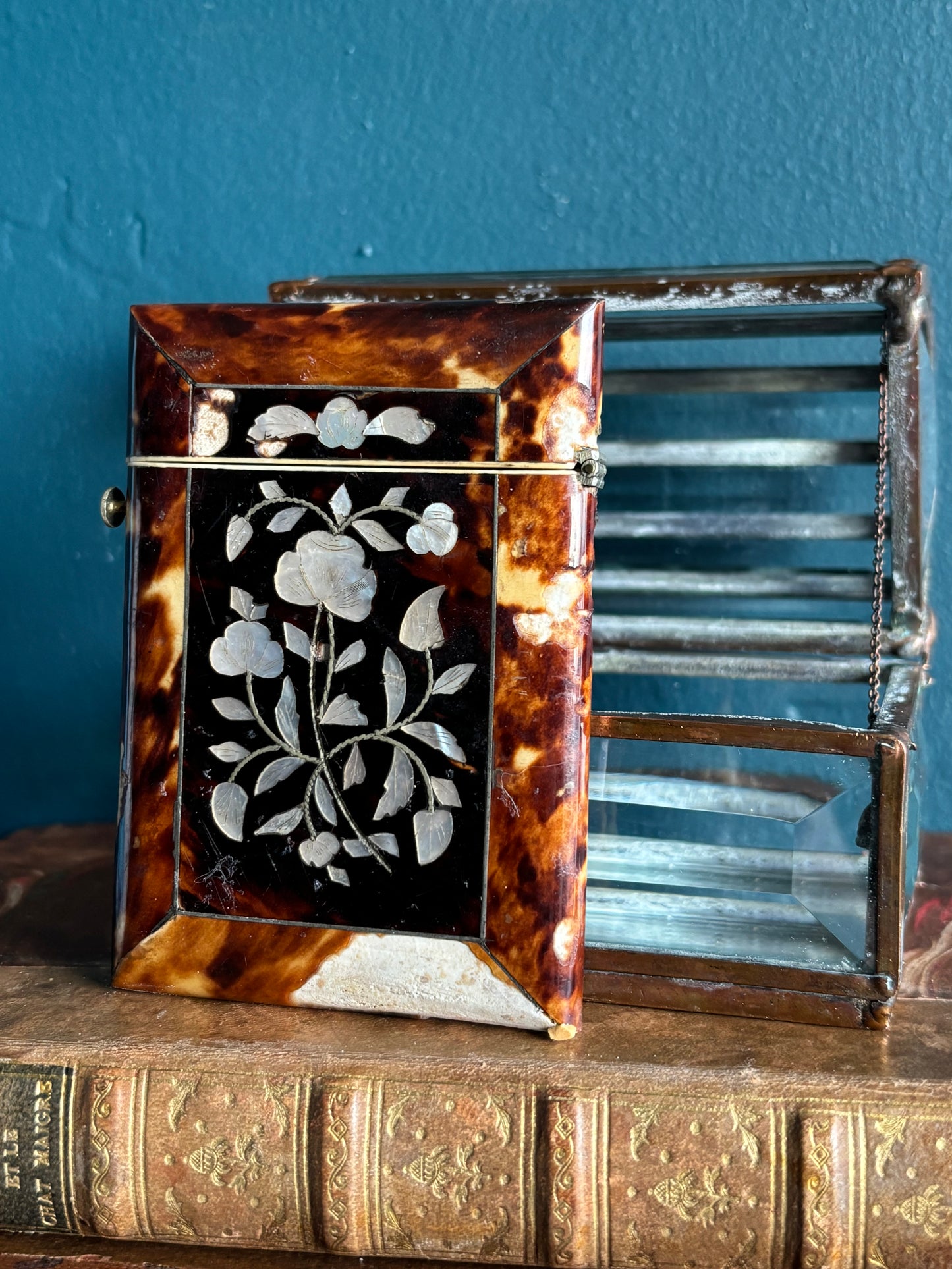 Antique Tortoise Mother of Pearl Card Case