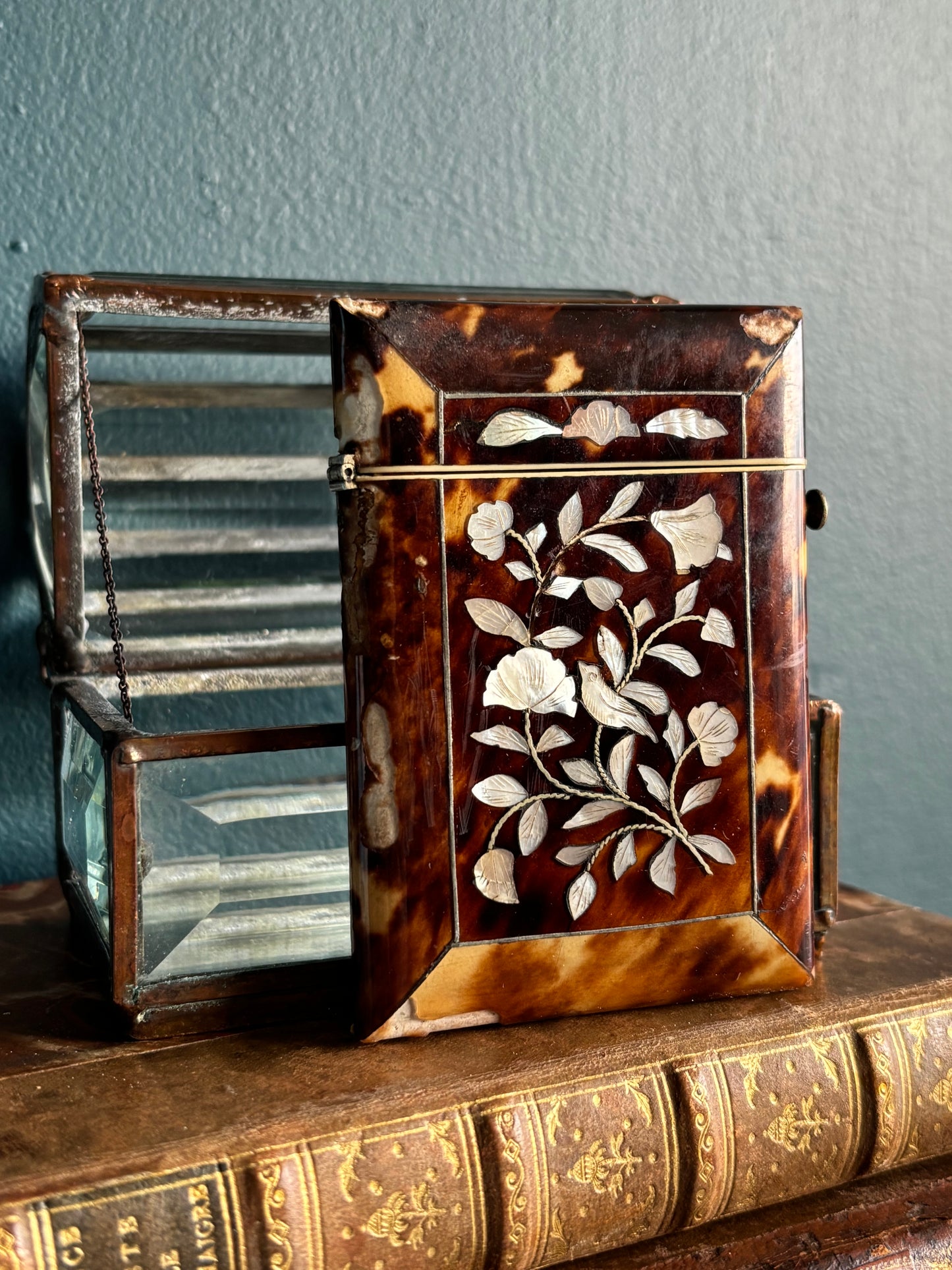 Antique Tortoise Mother of Pearl Card Case