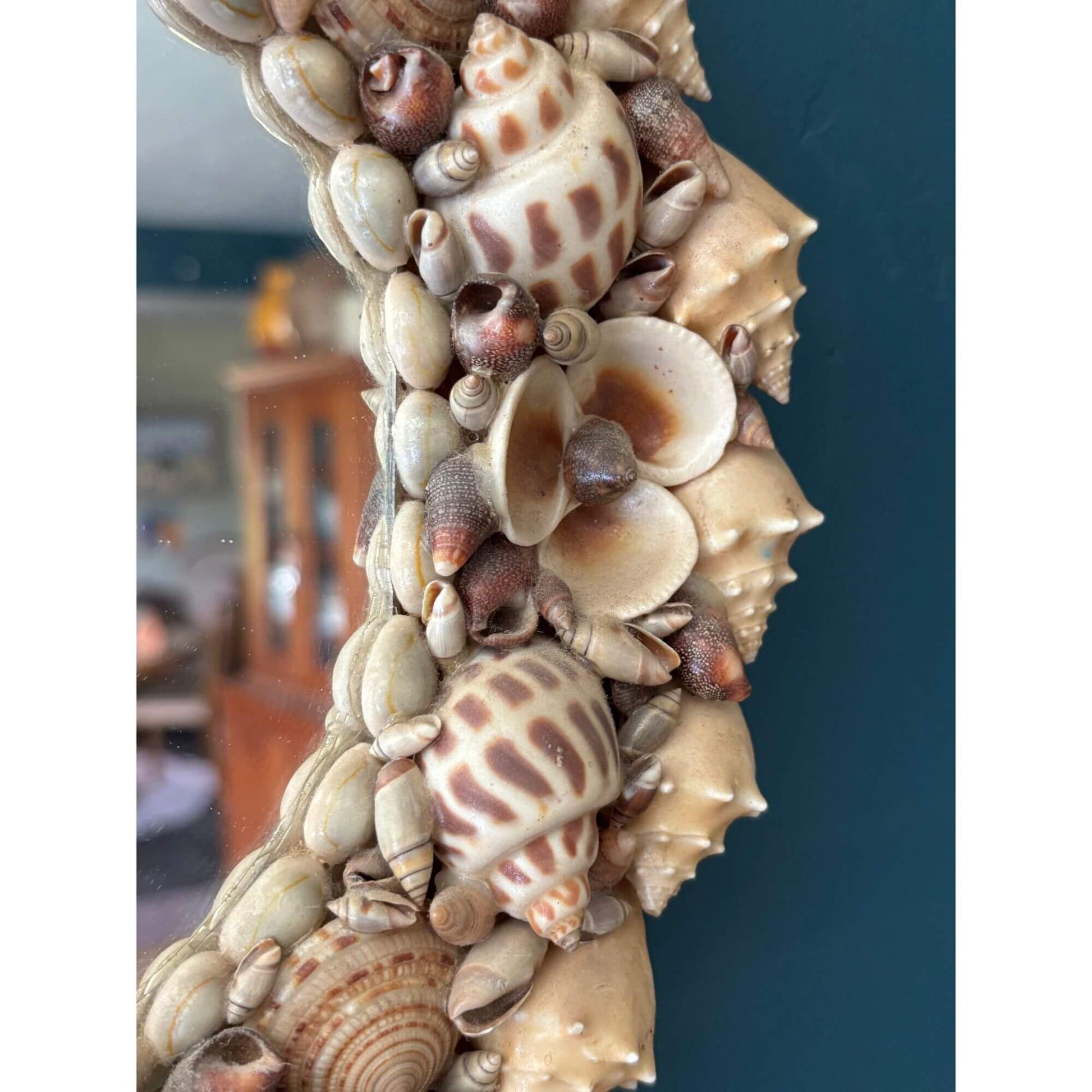 Vintage Natural Seashell Circle Mirror Coastal image 2