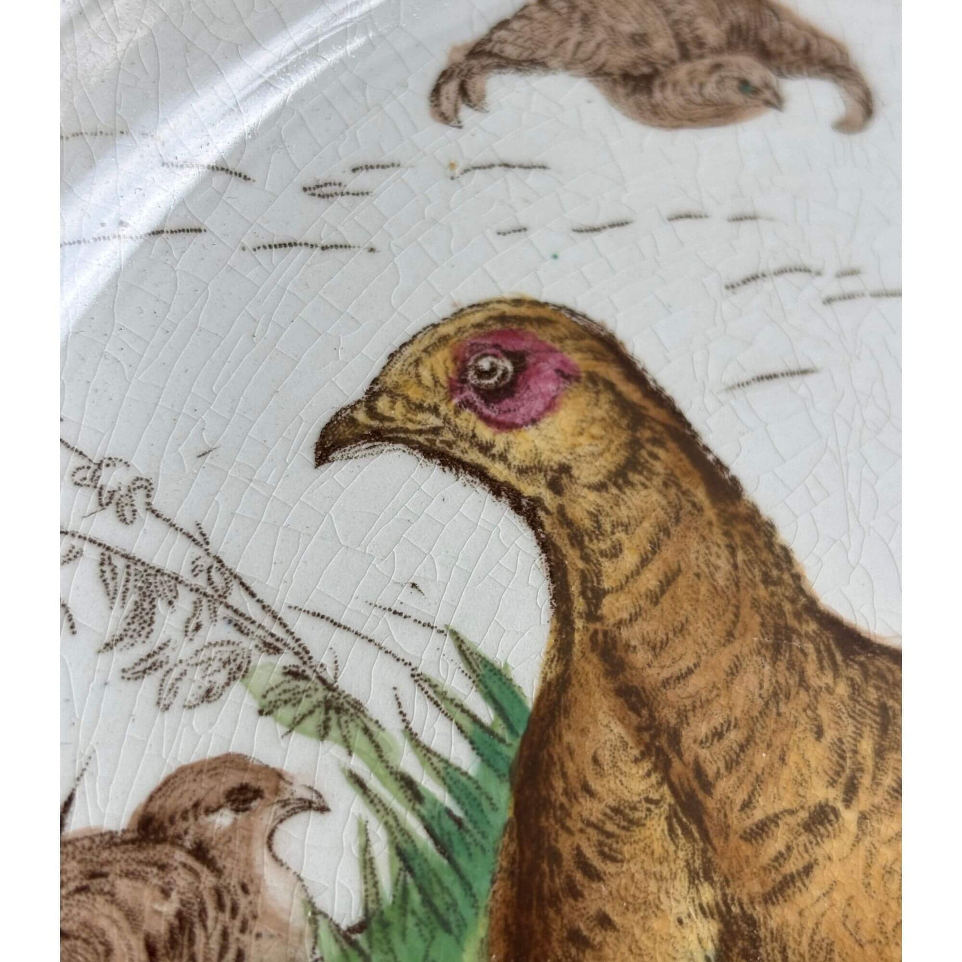 Antique Rare Formosa Etruria Wedgwood Grouse Bird Plate image 5
