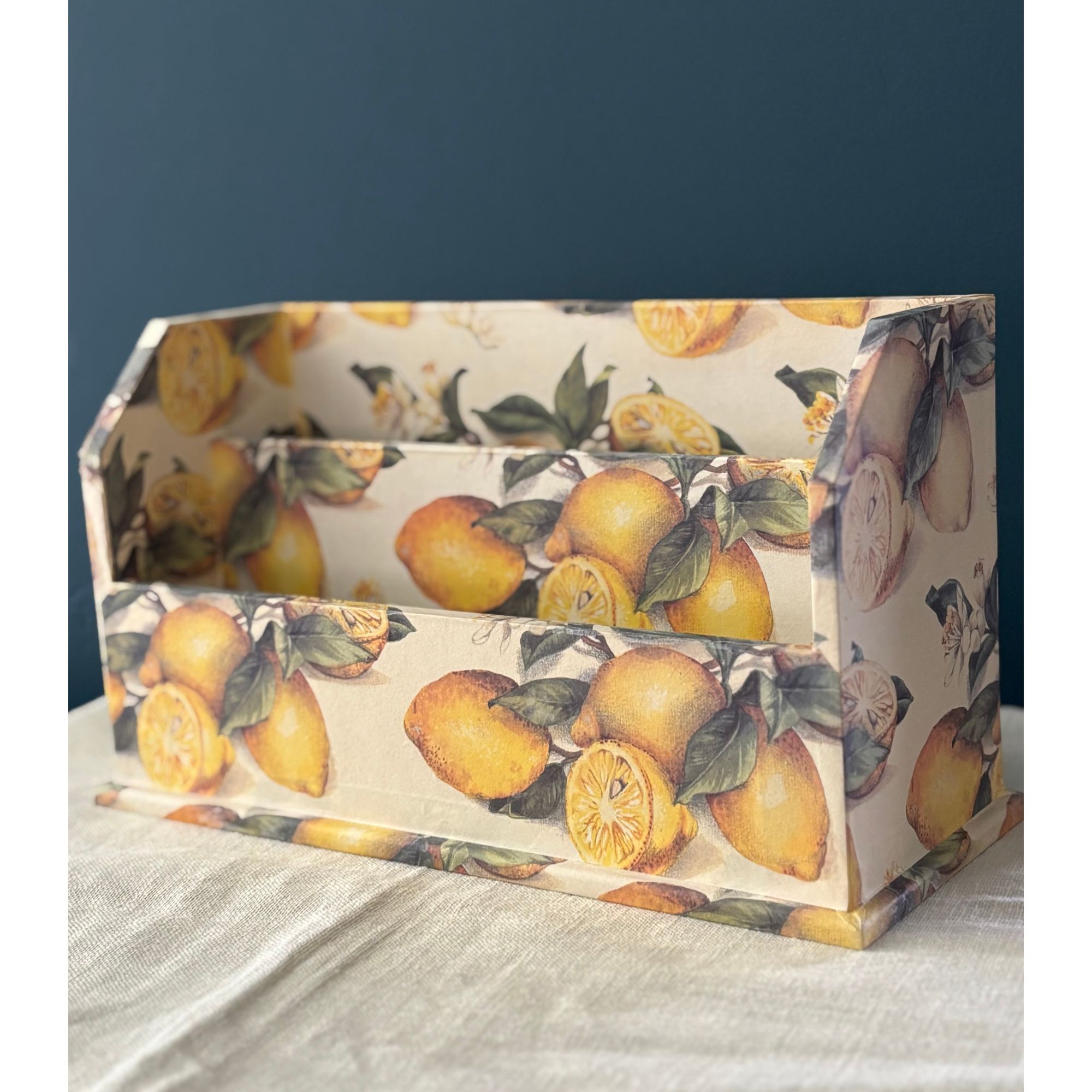 lemon desk organizer
